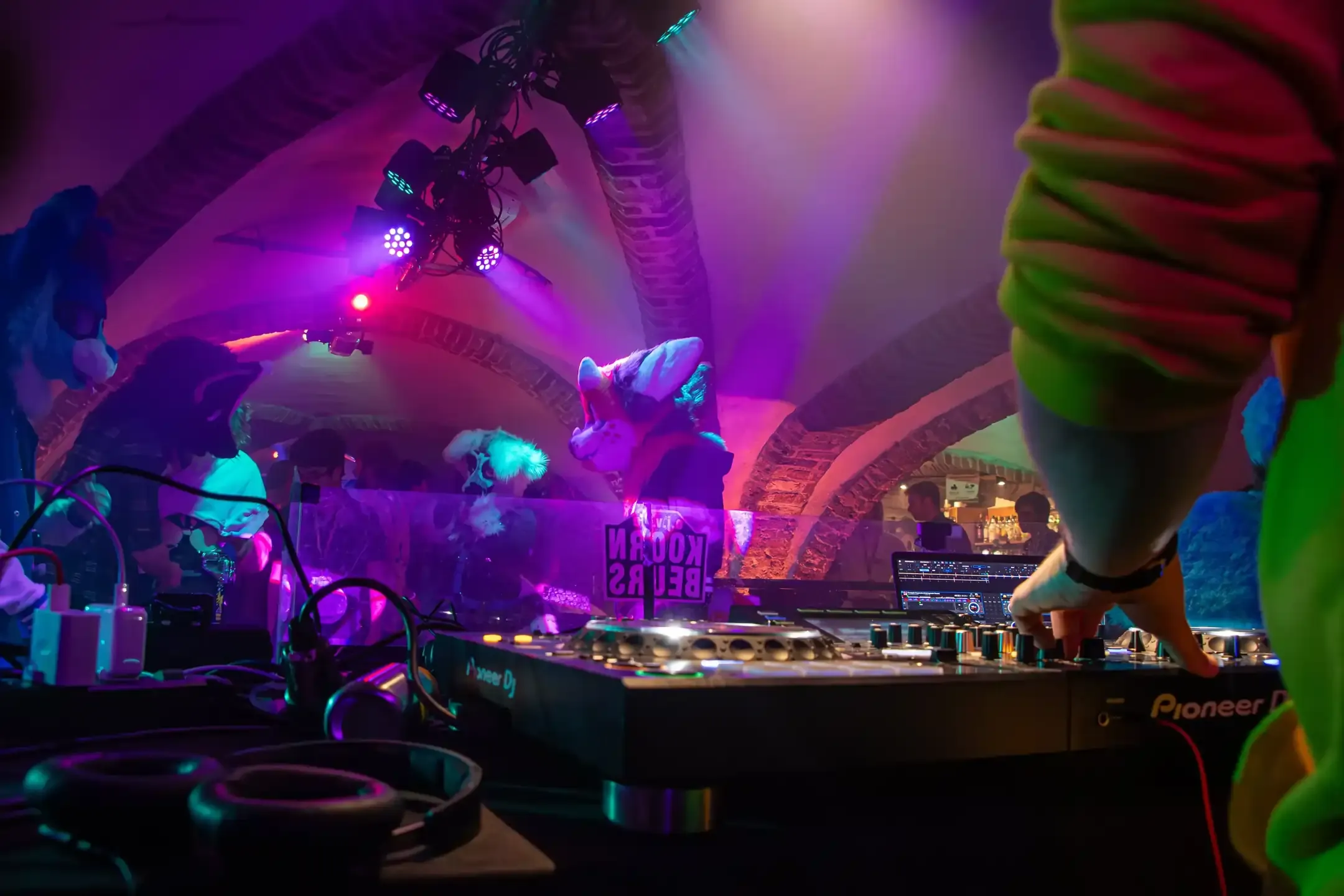Furries in a bunker rave