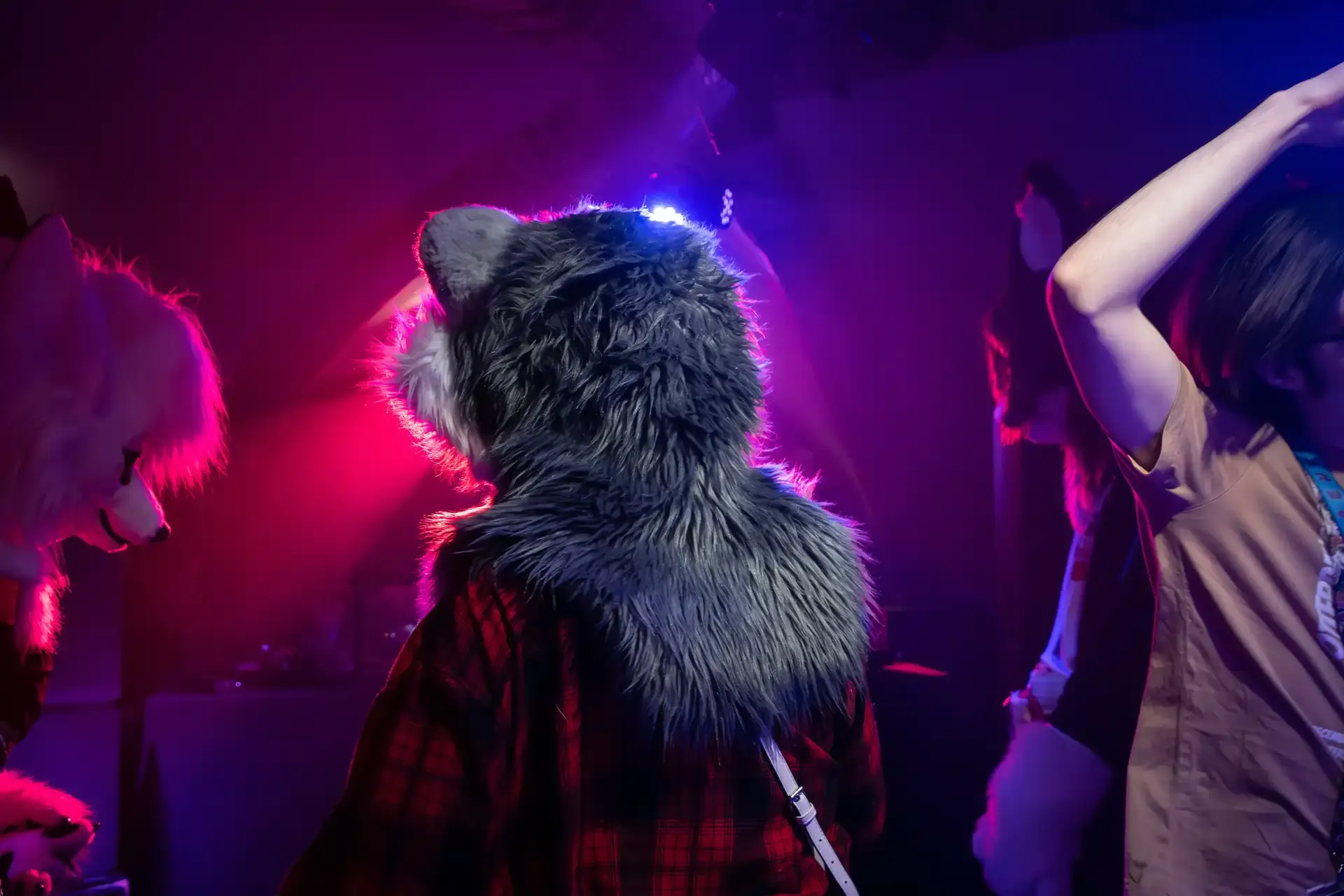 Furries in a bunker rave